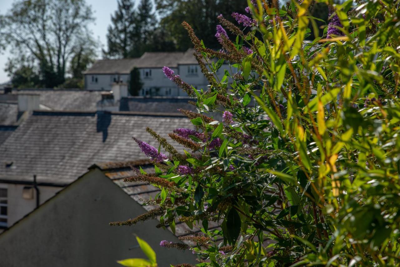 Rockmount Rooms & Apartment Tavistock  Buitenkant foto